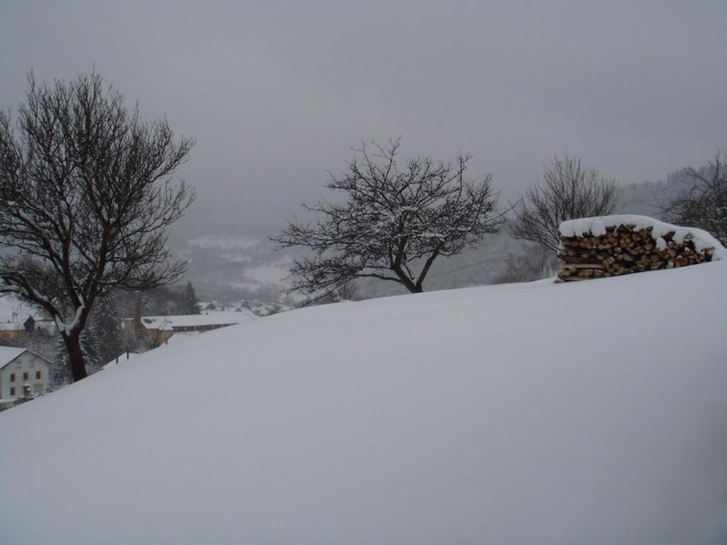 Appartement Au Pied Du Mont